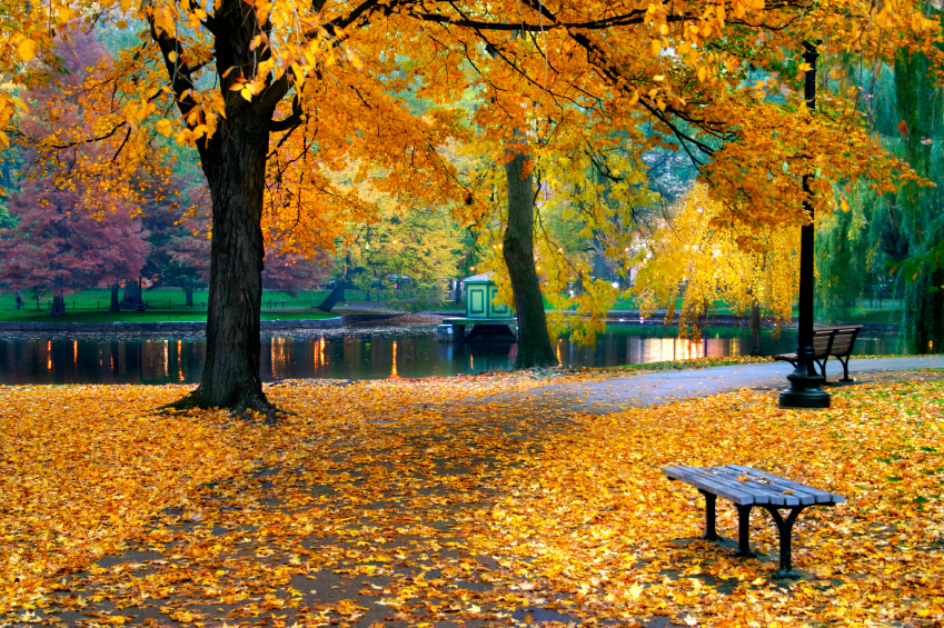 Autumn in Boston Public Garden, Massachusetts, USA