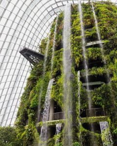 This is a photo of a large waterfall dripping over a tall structure covered in greenery.
