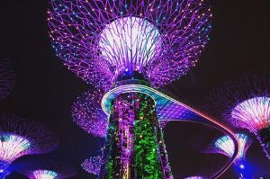 This is a photo of lighted structure decorated in purple and green lights. The structure looks like a tree-like figure with a long stem and lighted branches at the top.