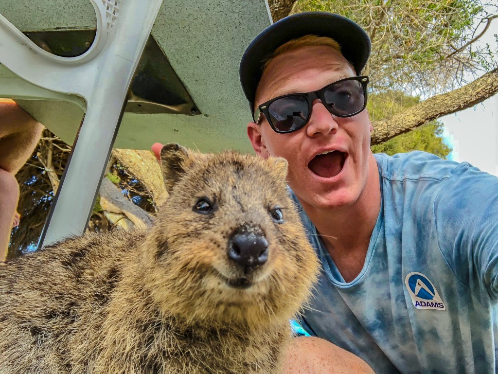 Is this the cutest animal in Australia? In search of the perfect 'quokka  selfie' on Rottnest Island - Alaska Airlines News