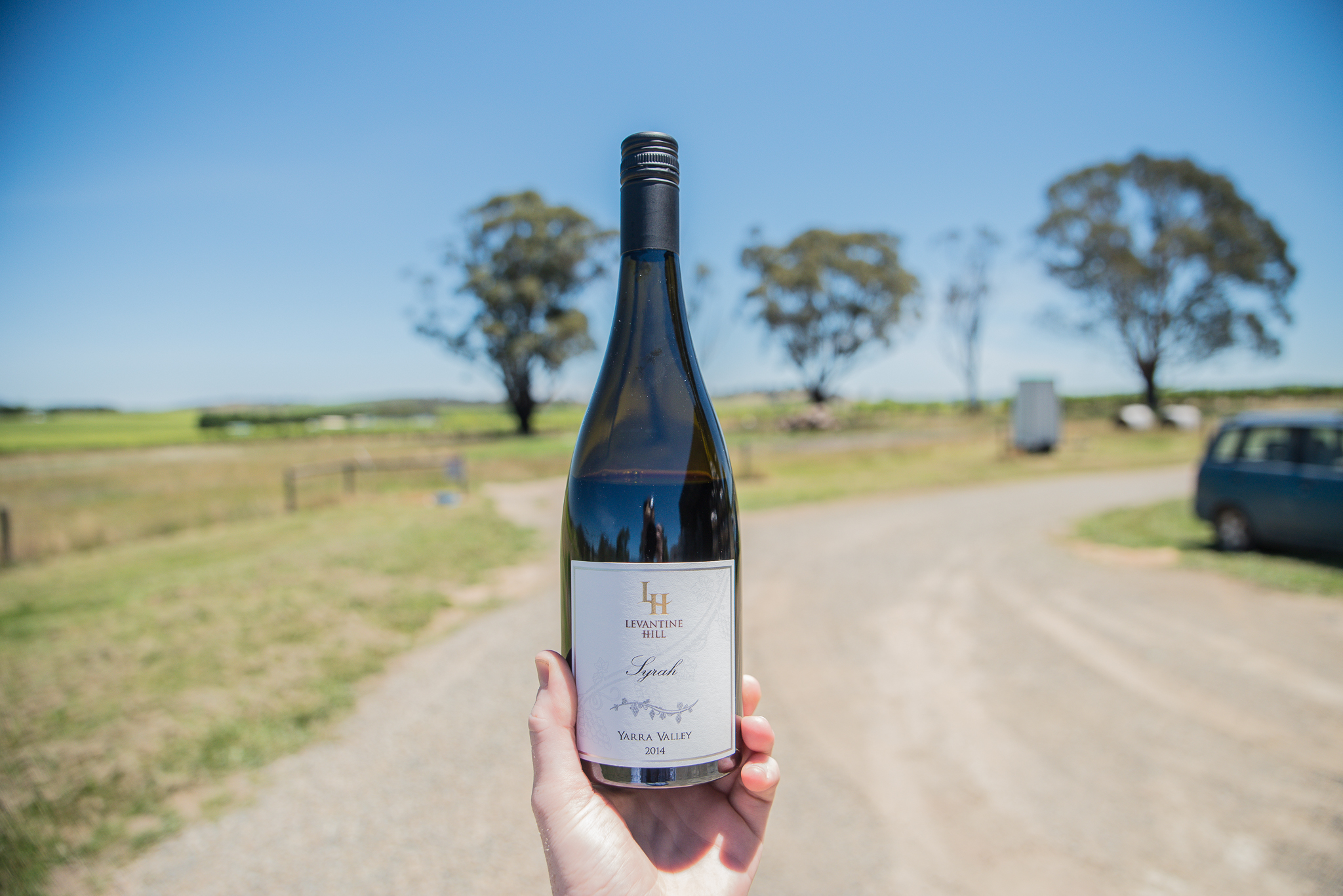 Dining & Serving Grassland Road Serving Dish Friendship Is The Wine