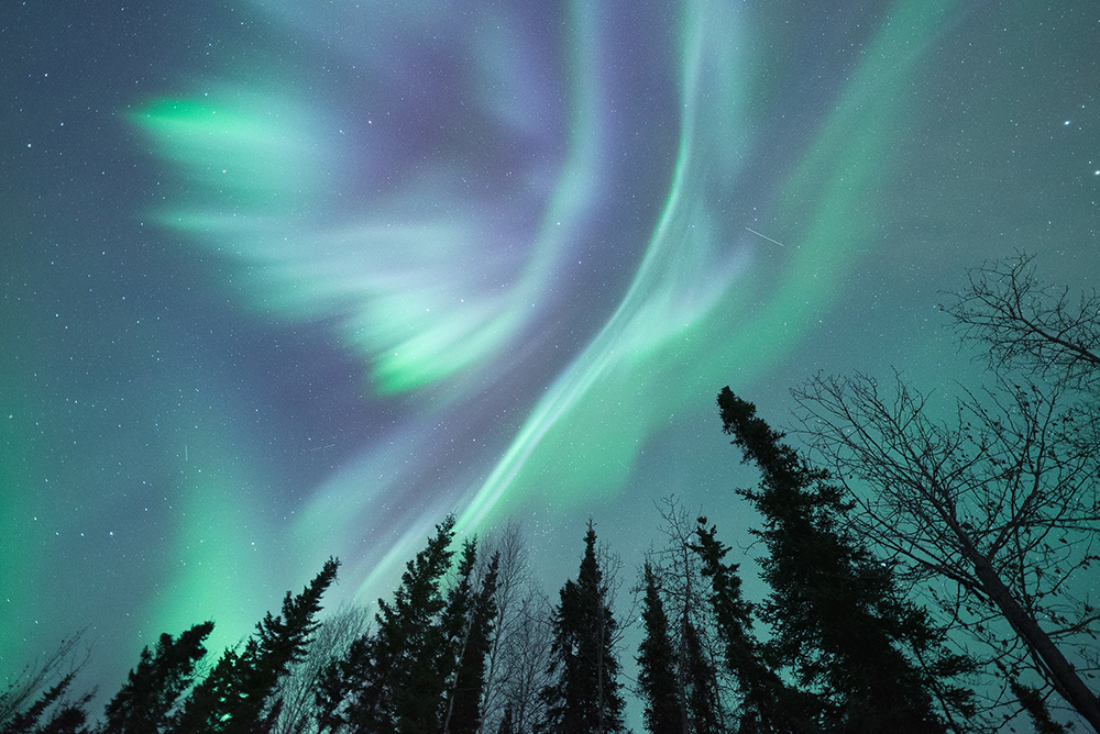 Flåde væske Tidsserier Northern Lights myths & tips to make your aurora adventure lit - Alaska  Airlines News