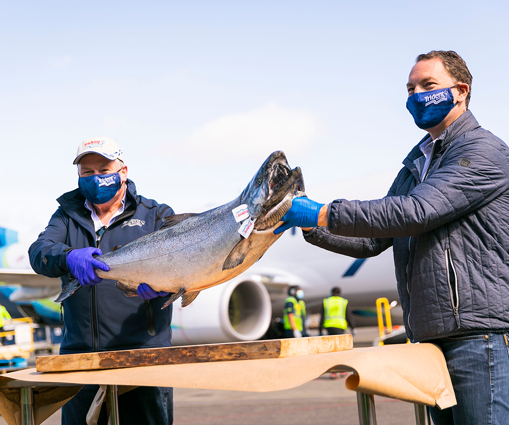First Copper River salmon arrives safely in Seattle Alaska Airlines News