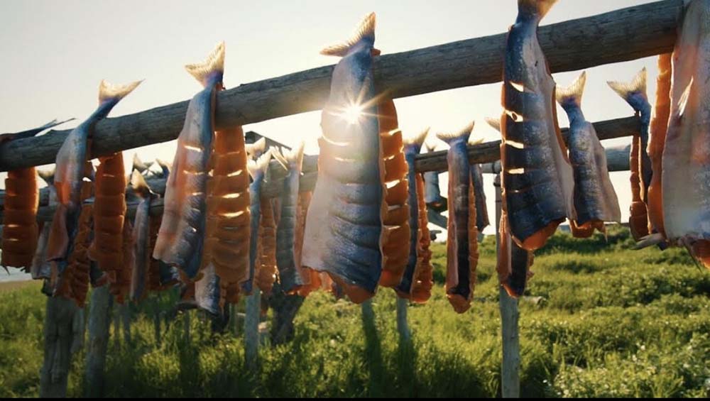 Nome Fish Camp Alaska Airlines News