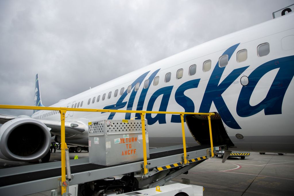 Alaska airlines sale live animal cargo