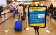Id For Domestic Flights 2025 Pavati Sage