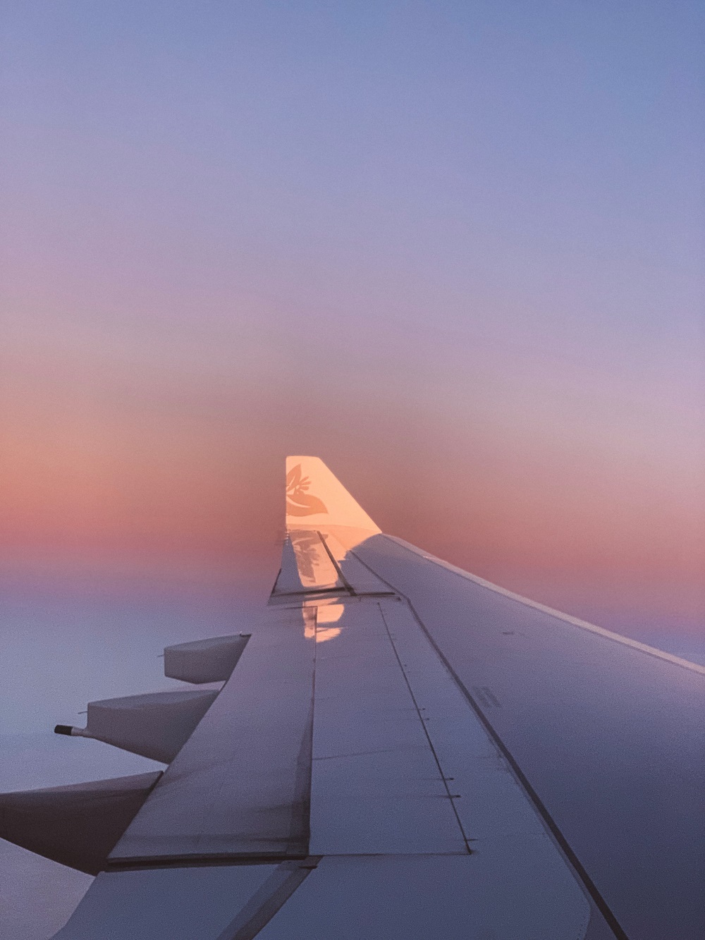 A330 wing window A330_STILL - Reef Runway Diamond head_mid