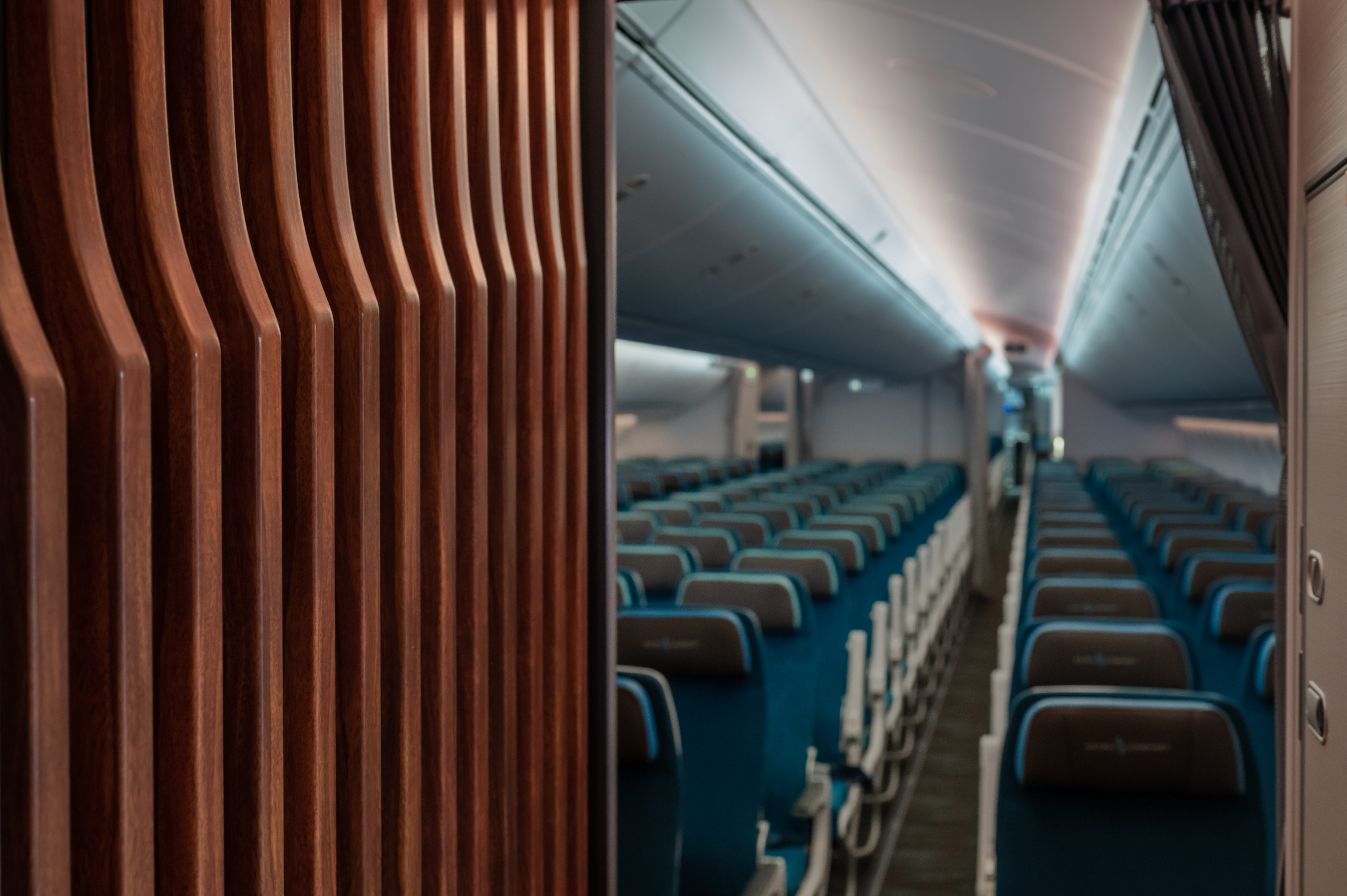 PHOTOFERG@AOL.COM Boeing 787-9 Main Cabin Wall Panel