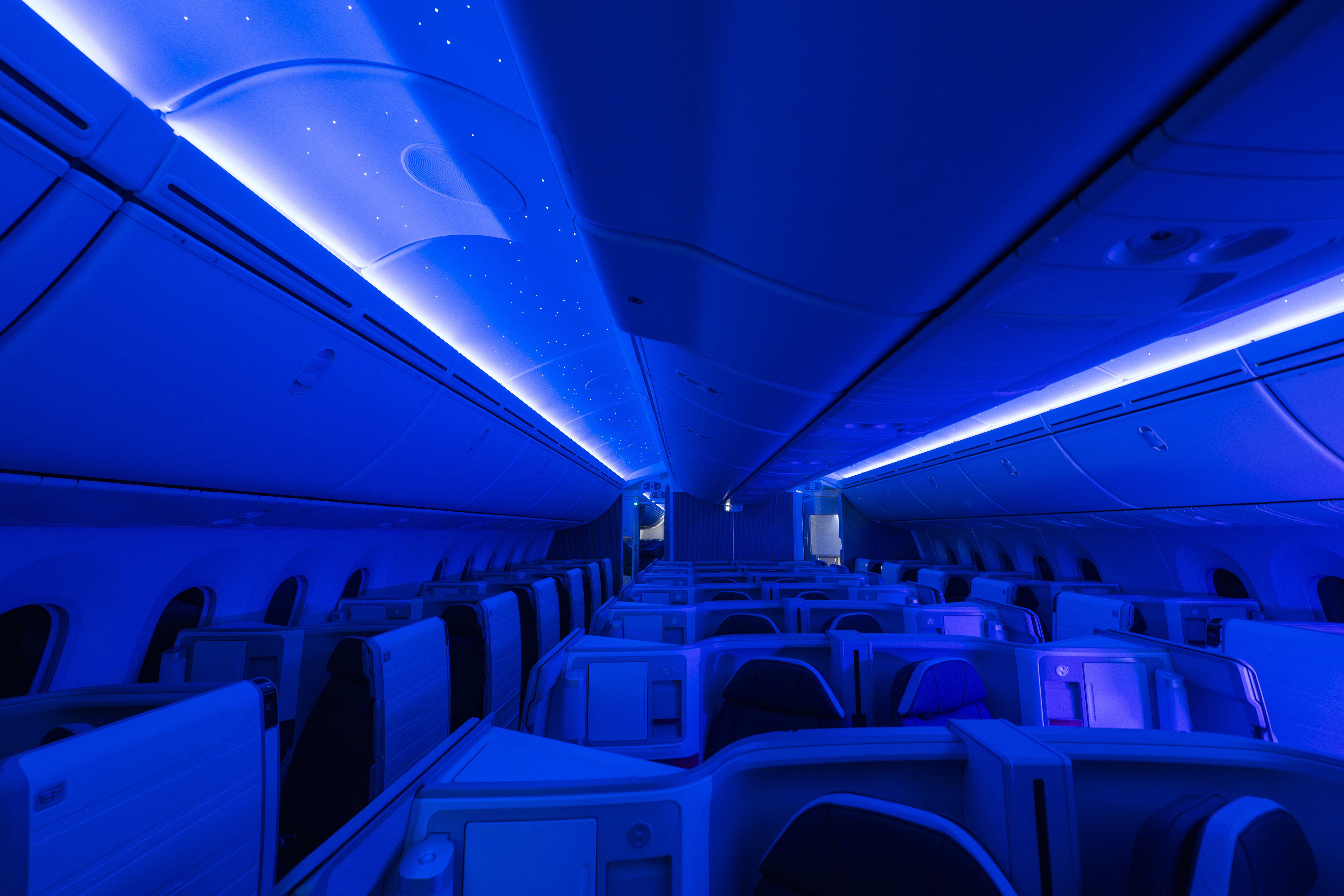 Boeing 787 Dreamliner suites 