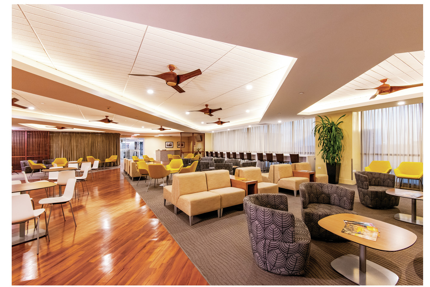 Plumeria Lounge