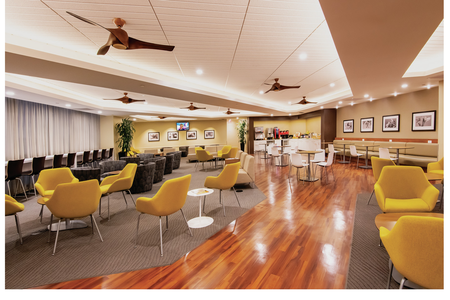 Plumeria Lounge