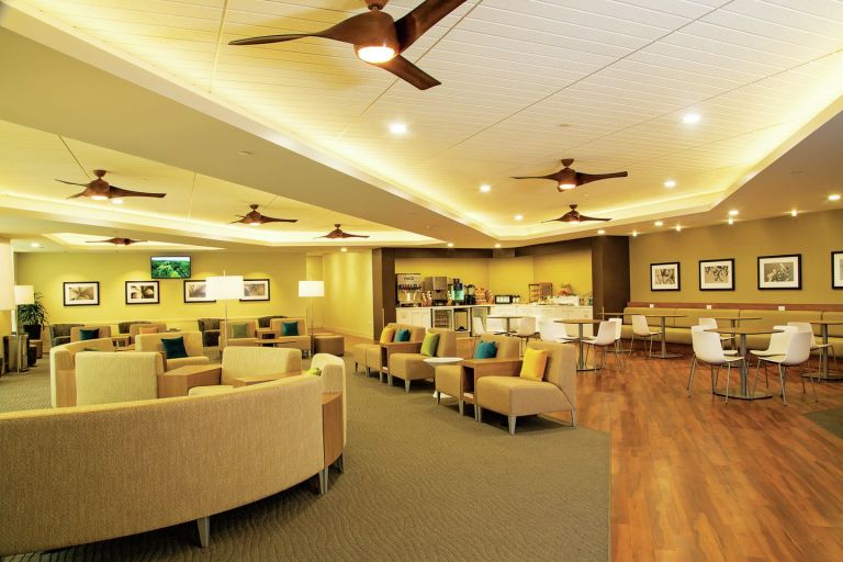 Plumeria Lounge
