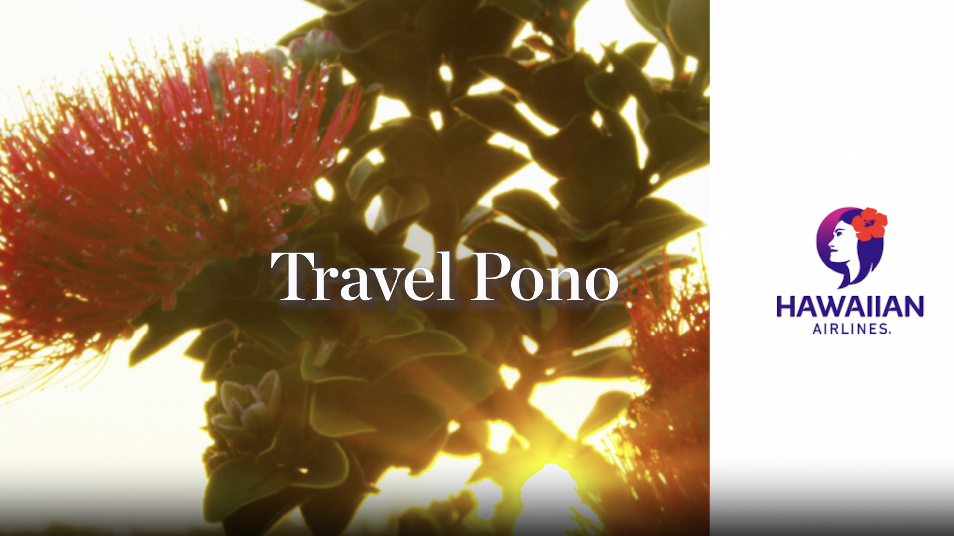 travel-pono_cf5563 Travel pono banner