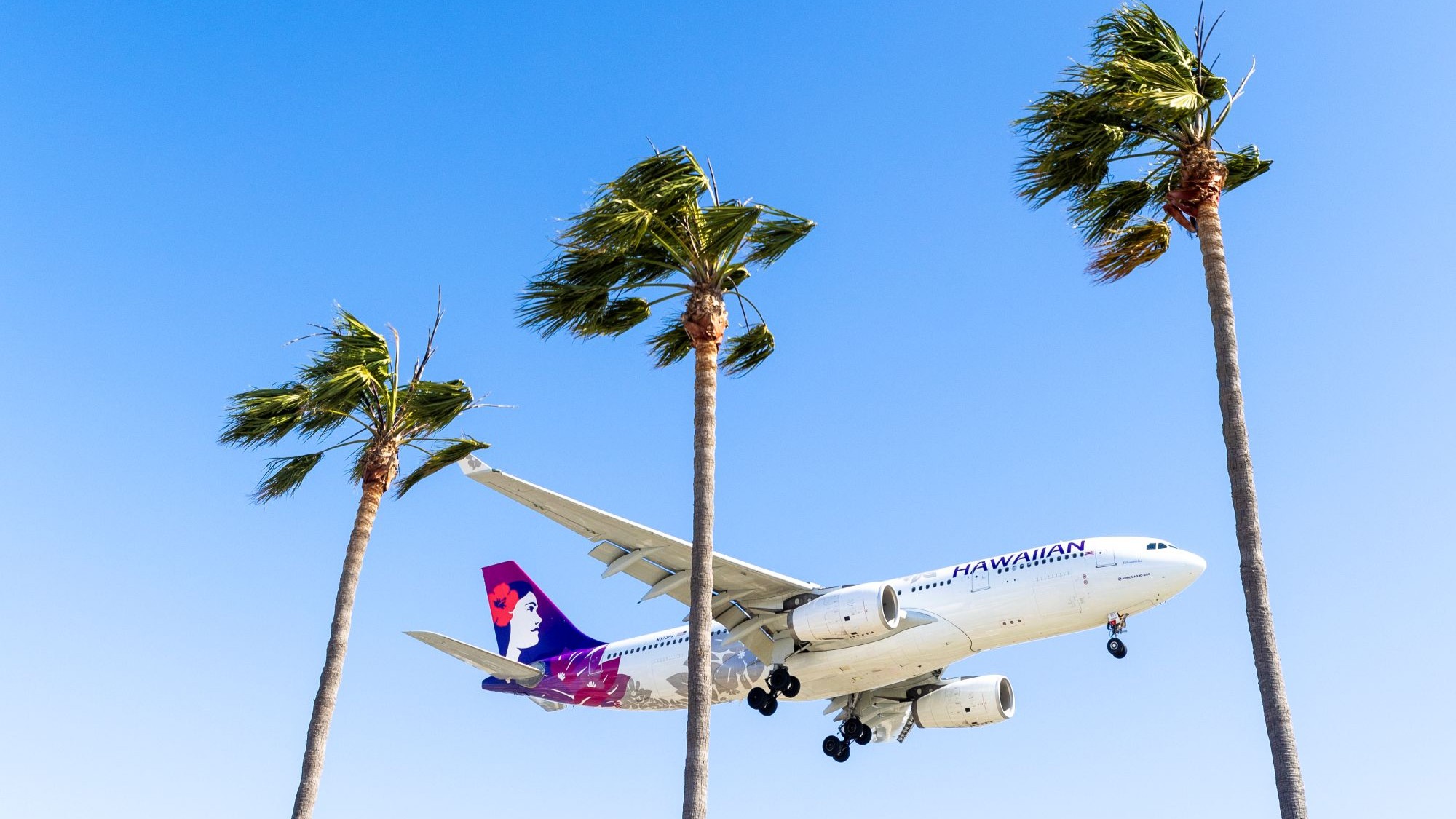 20250402_as_lax1627 Picture of Hawaiian Airlines Airbus A330