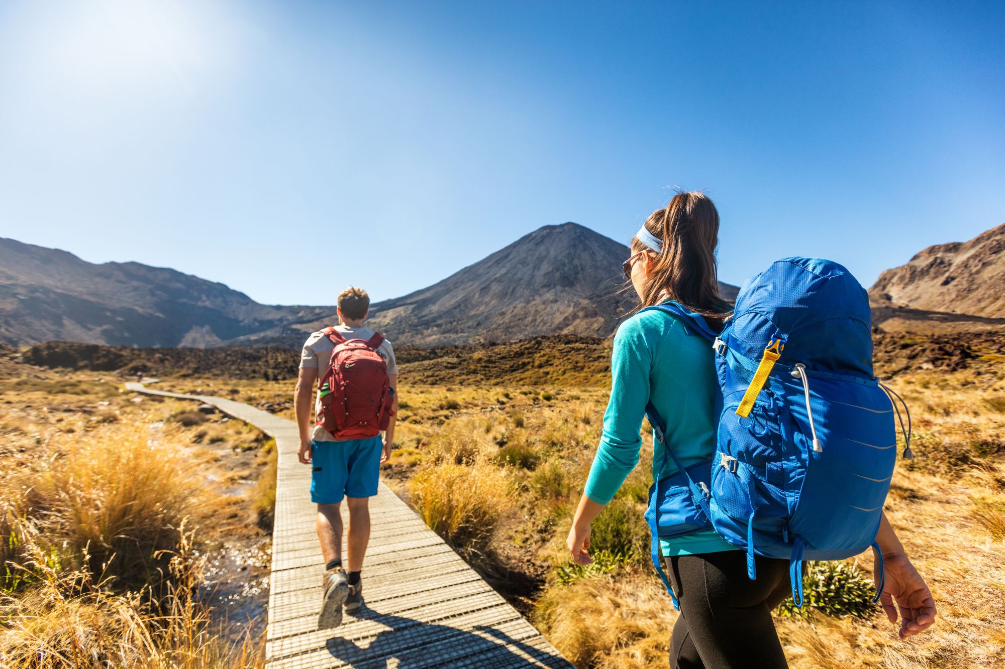 AdobeStock_267503022 Hikers in North Island New Zealand