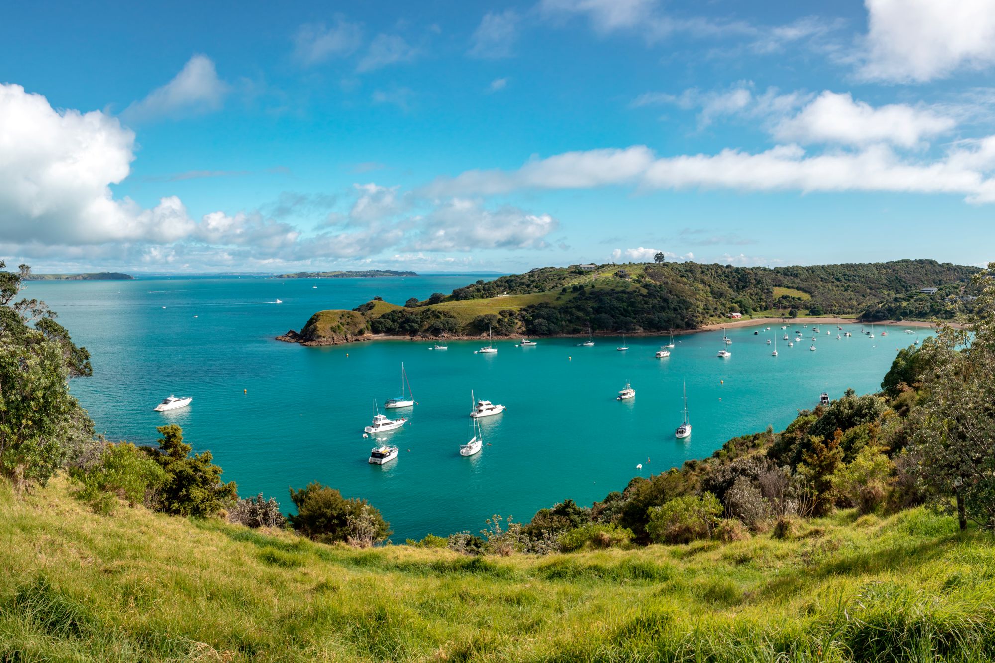 AdobeStock_510568914 Photo of Waiheke Island on North Island, New Zealand