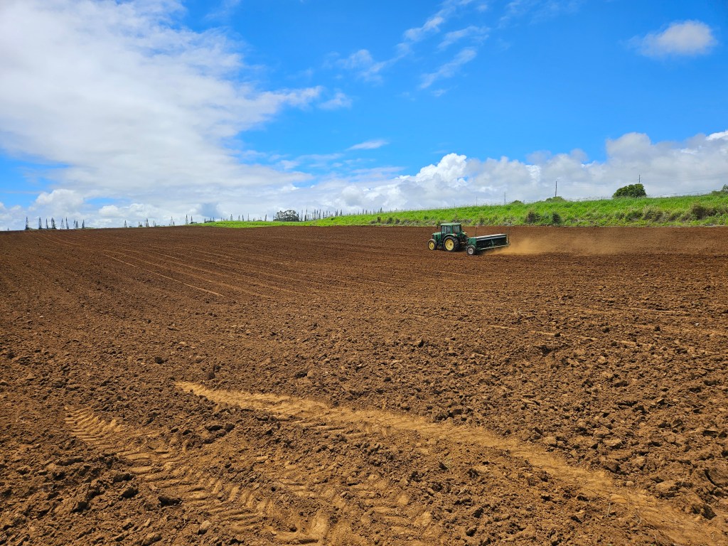 Hawaii agricultural field