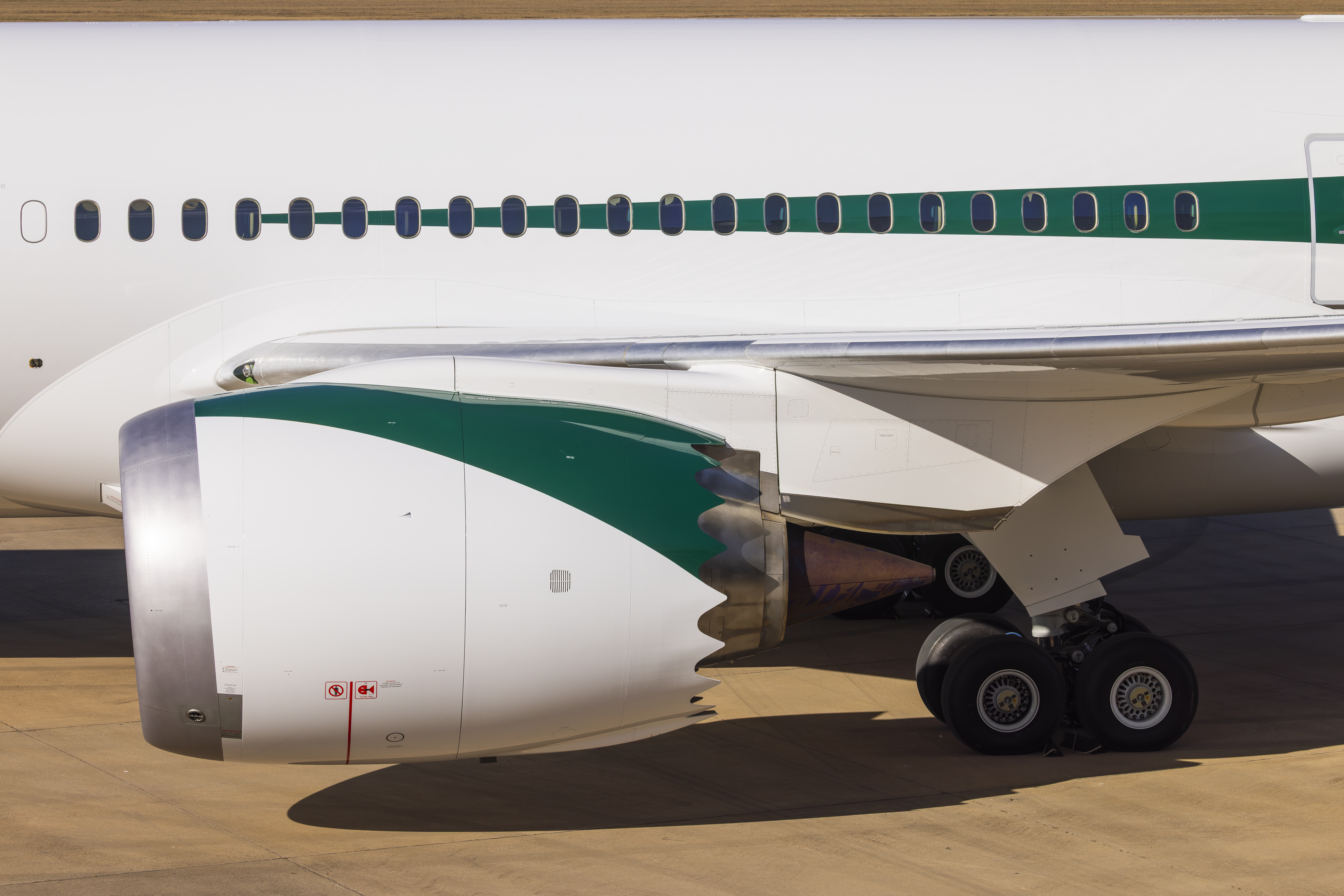 Alaska Airlines Global Livery Fuselage and Engine