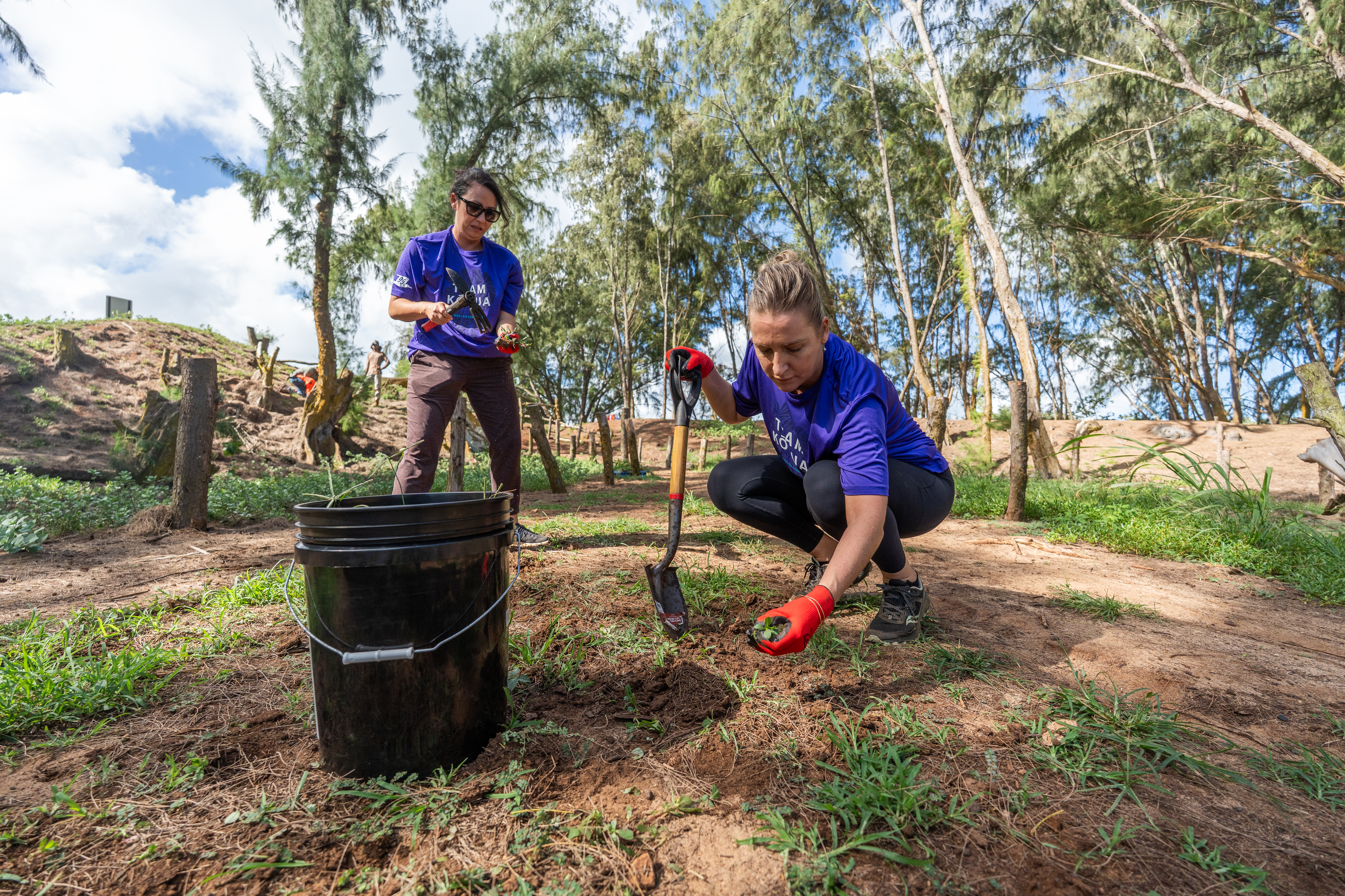 Hawaiian Airlines Team Kōkua