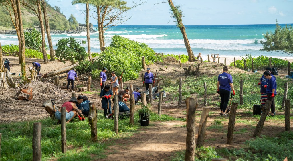 Hawaiian Airlines Team Kōkua