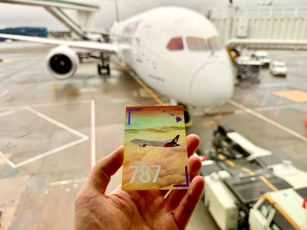 Boeing 787 pilot card