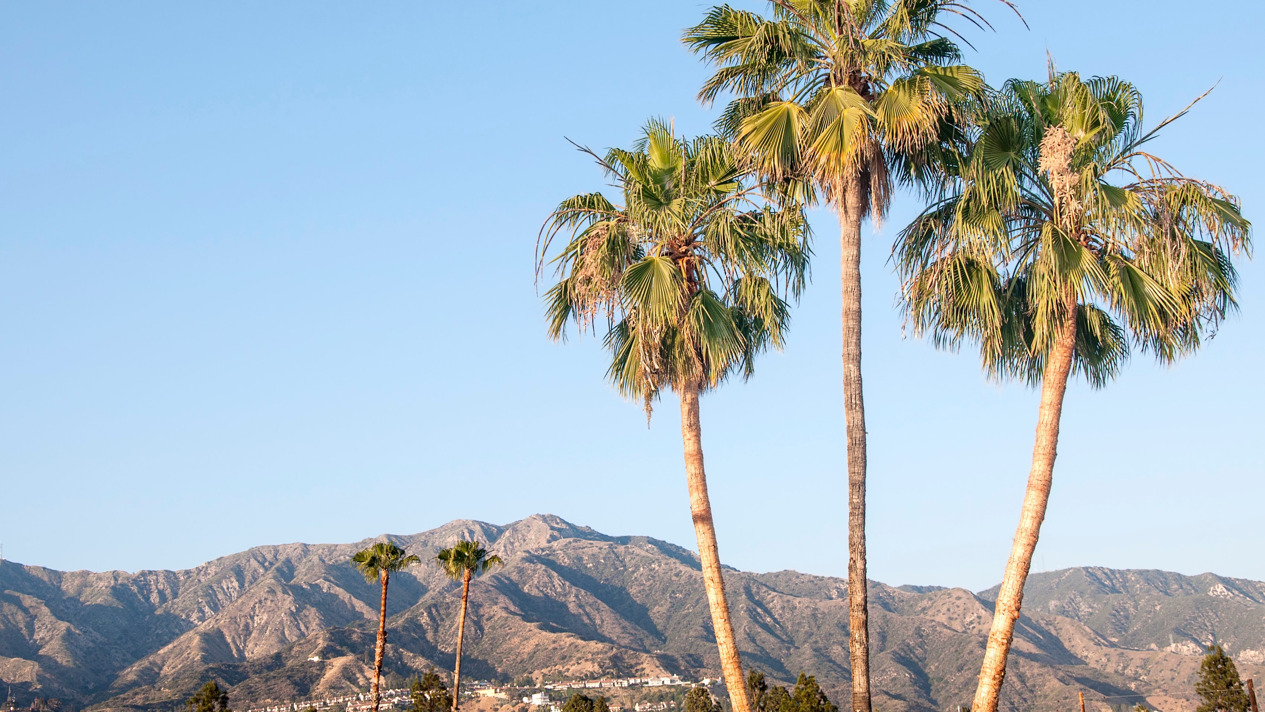 Burbank