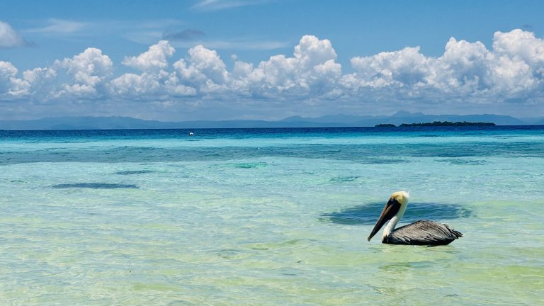 Belize header