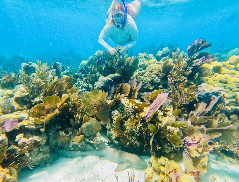Snorkeling