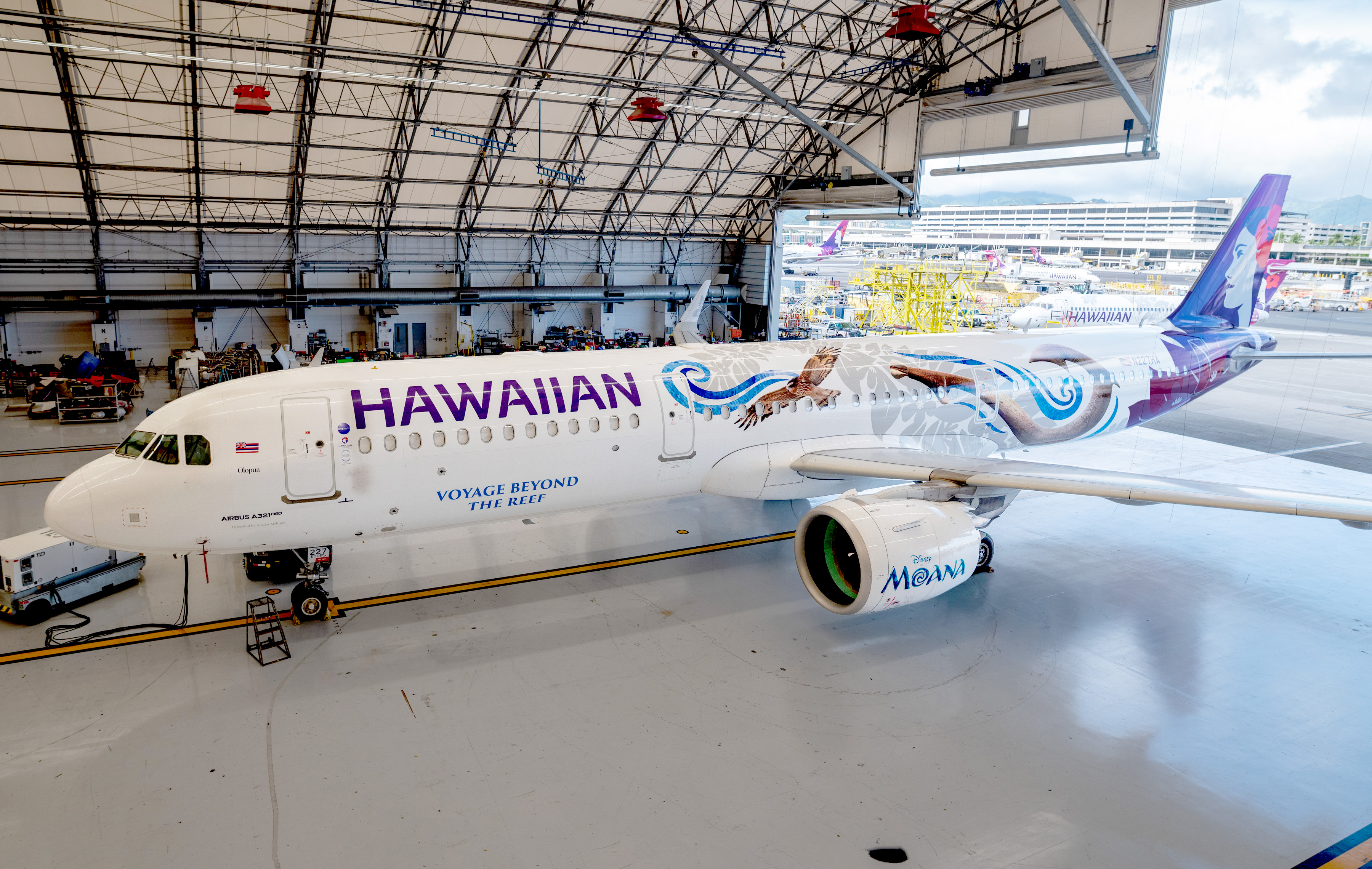 Moana livery