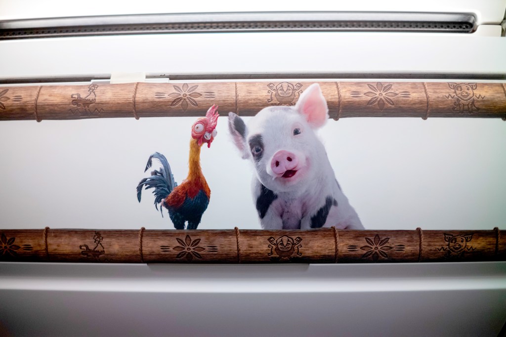 Pua the pig and Heihei the rooster