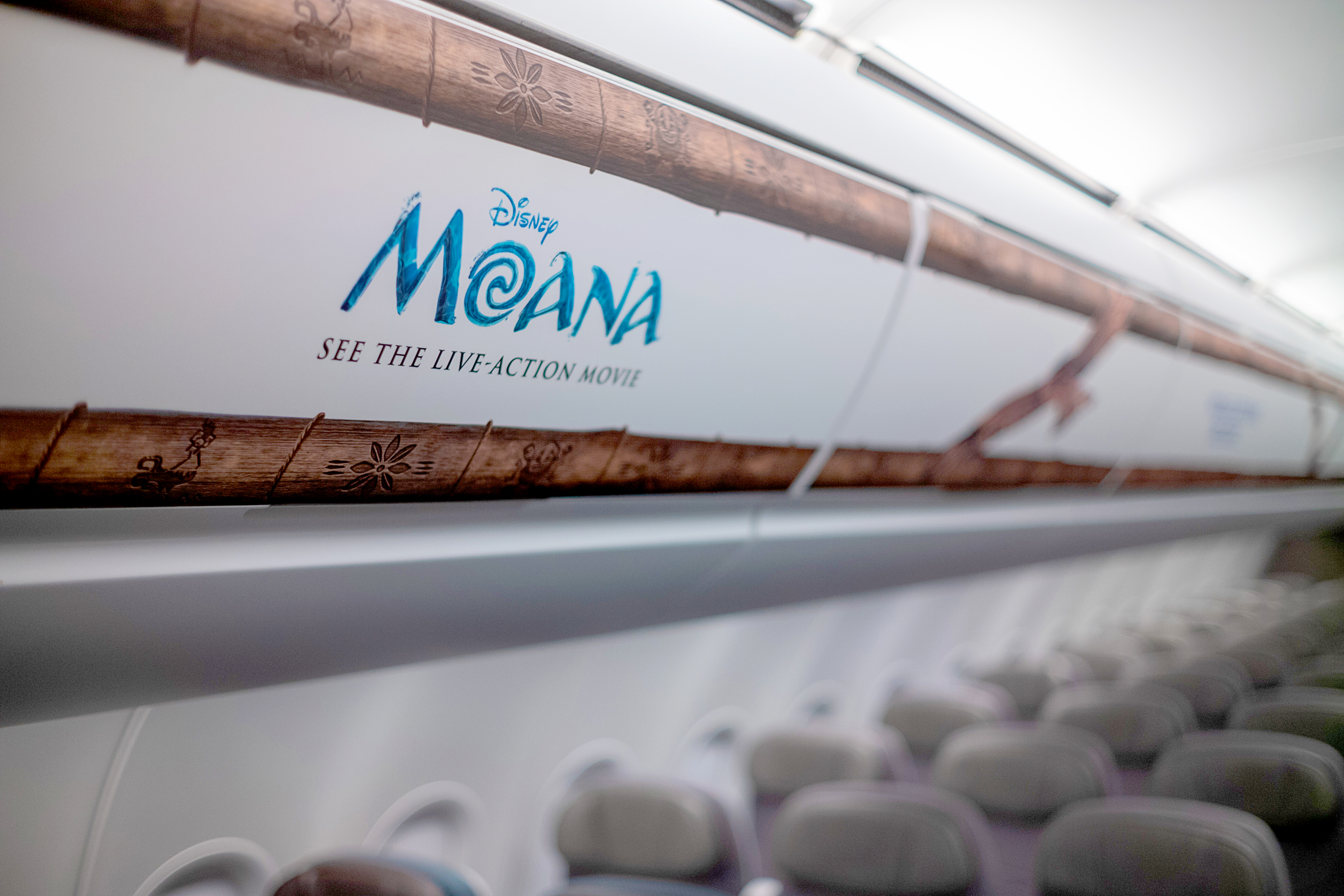 Moana decal