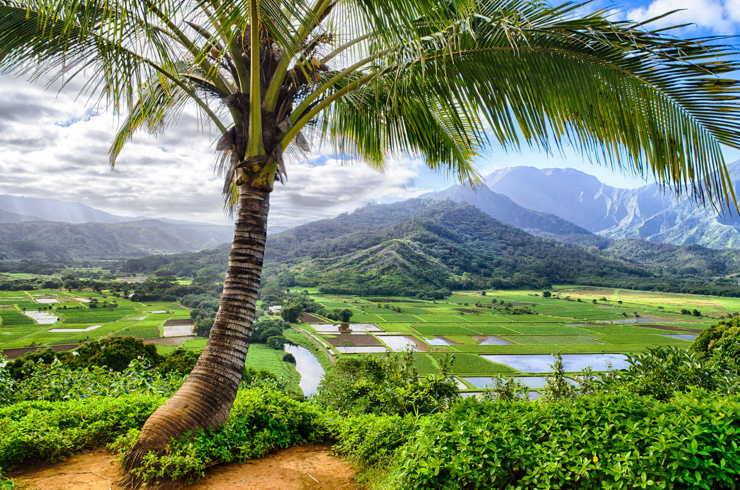 Princeville