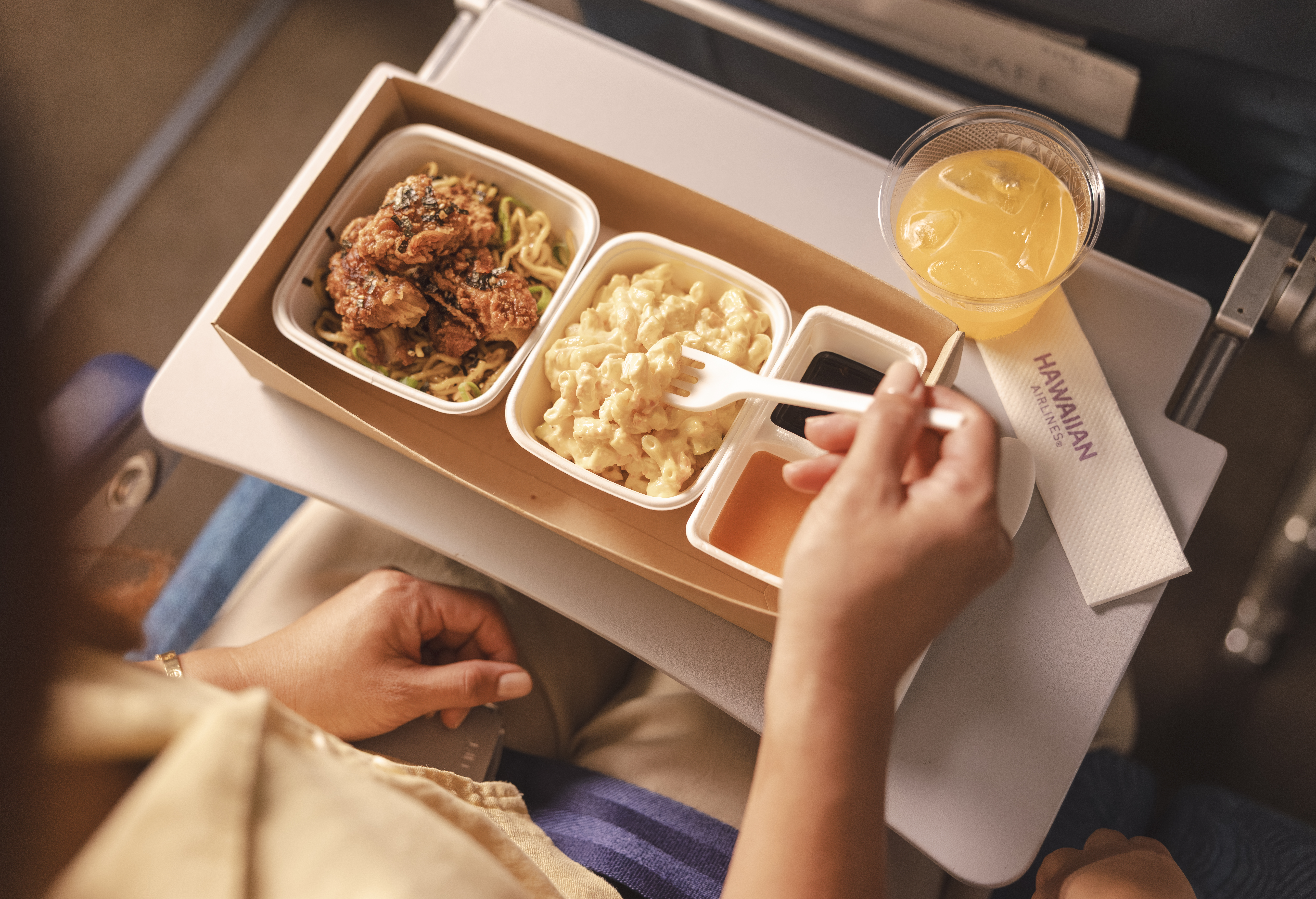 A330 main cabin meal