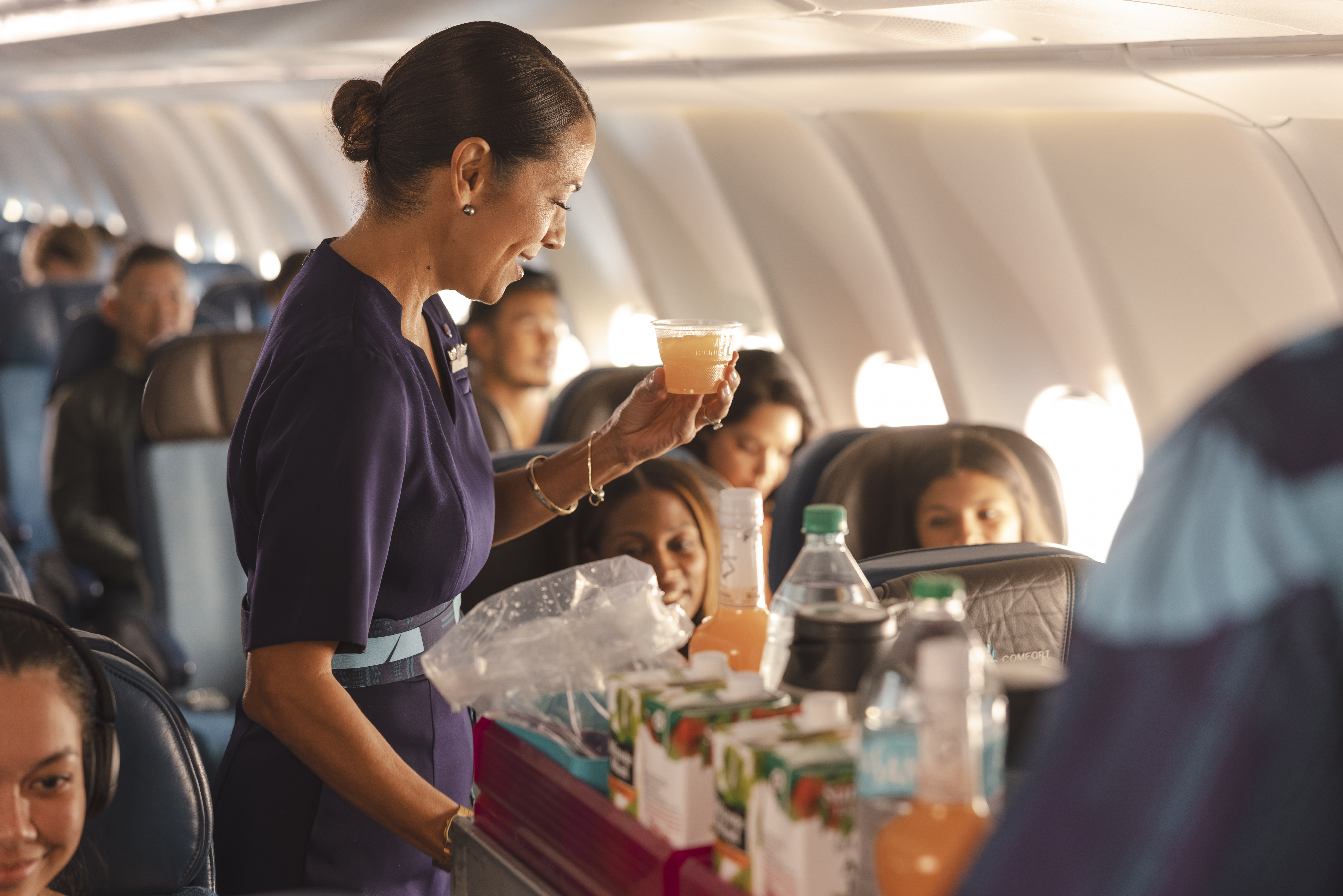 Main cabin service