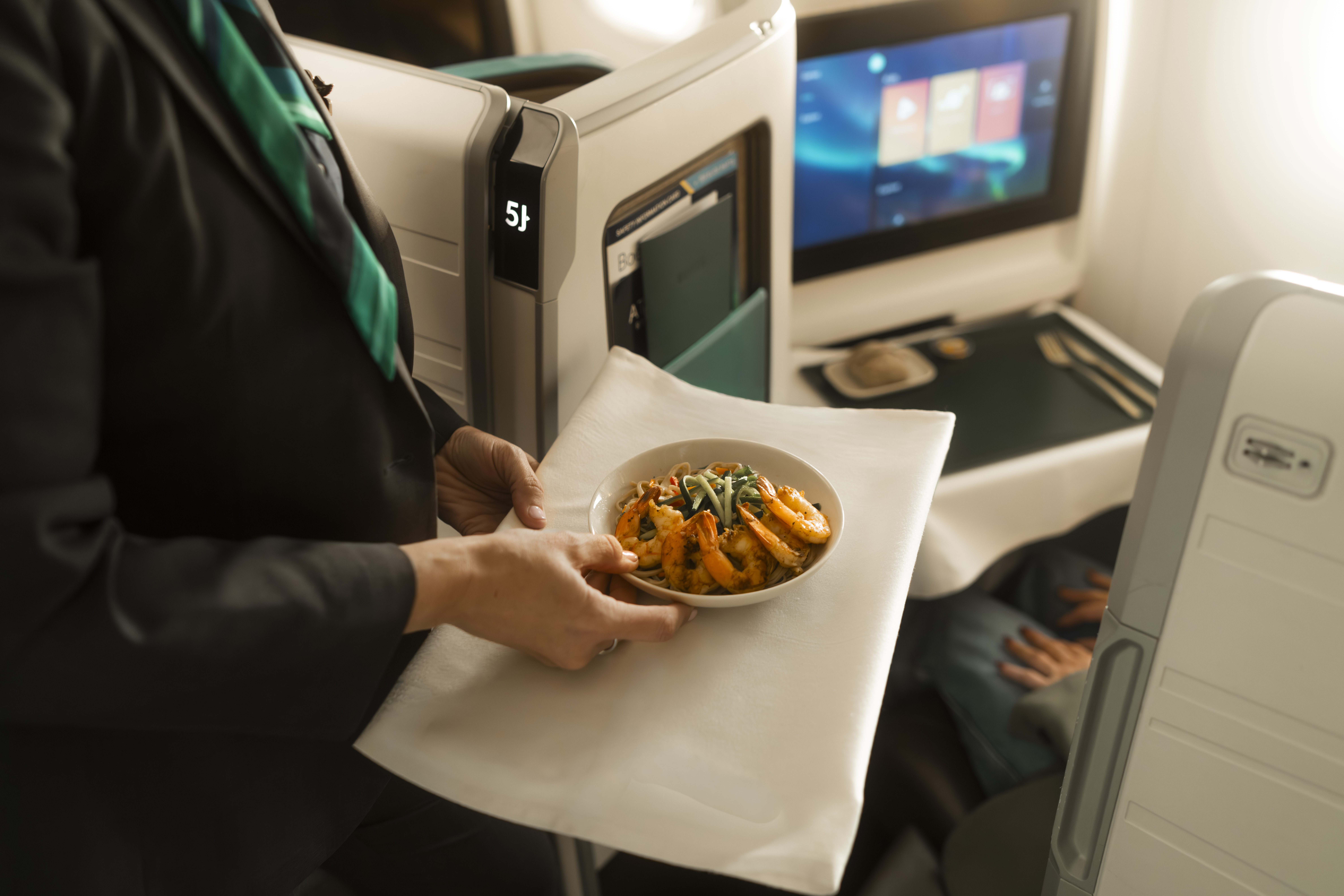 Boeing 787 First Class/Business Class