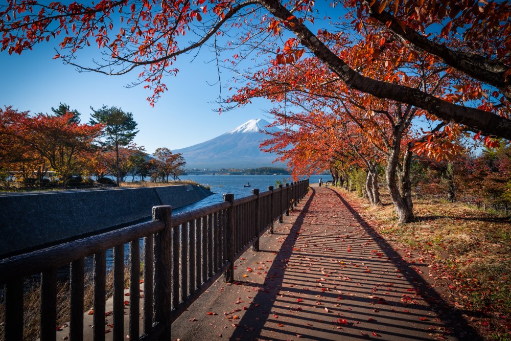 Mt Fuji