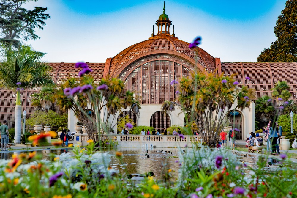 San Diego garden