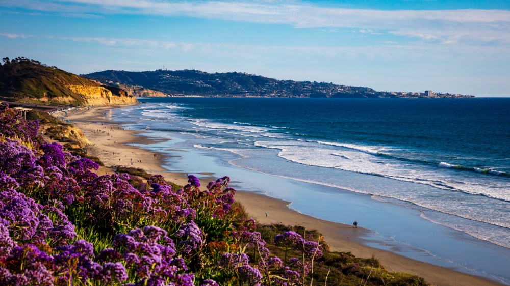 San Diego beach