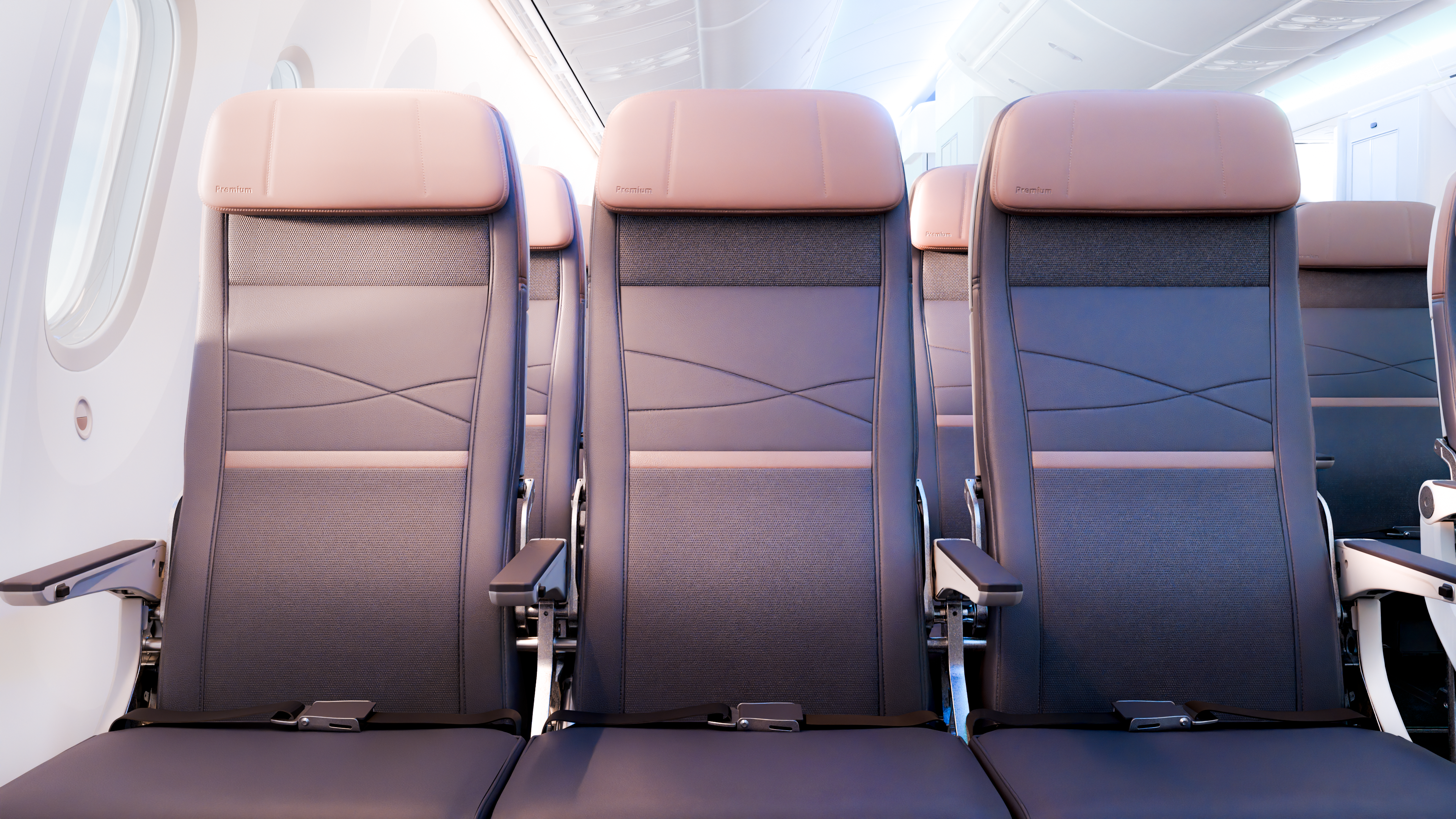 787 main cabin
