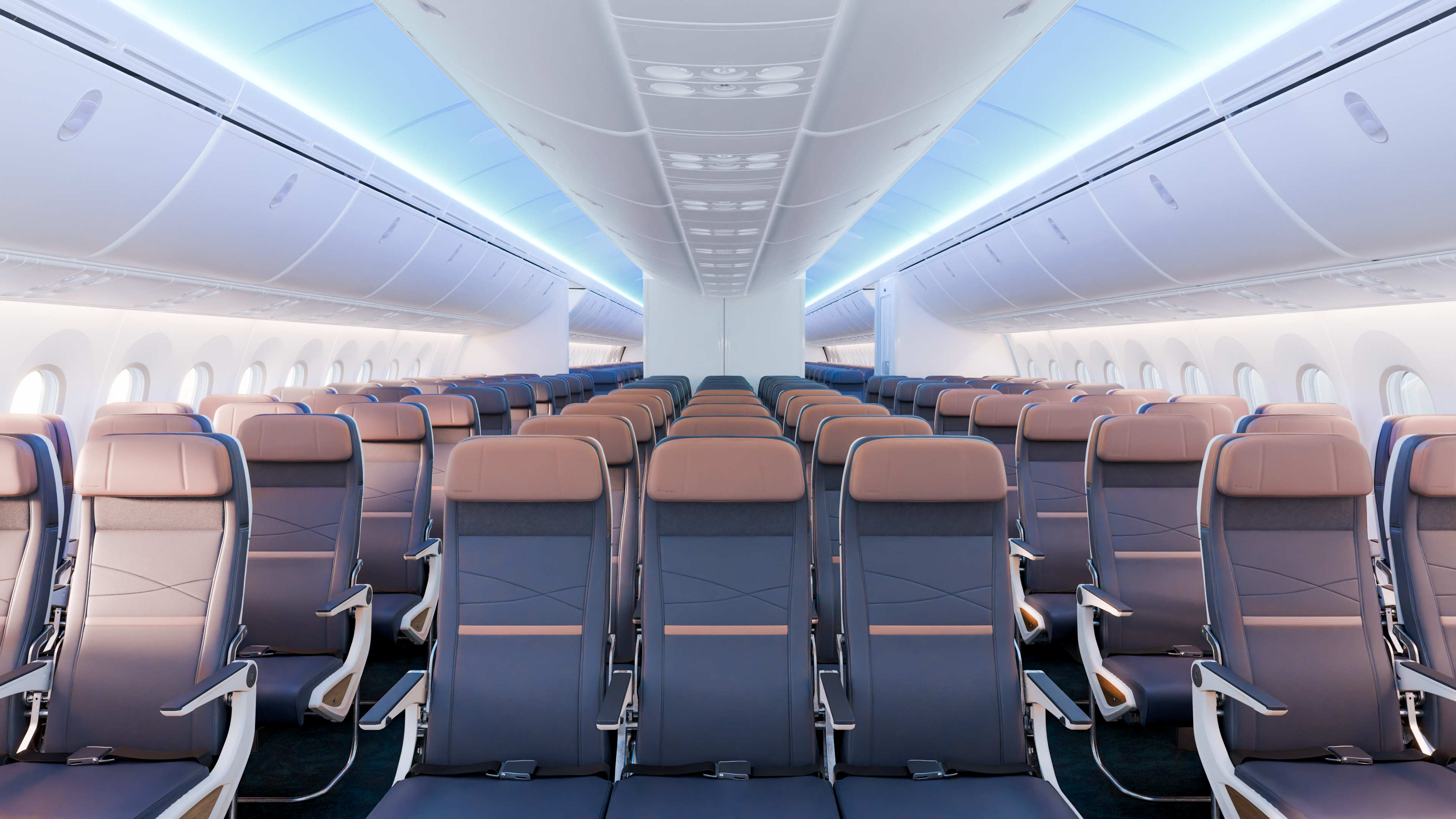 787 main cabin