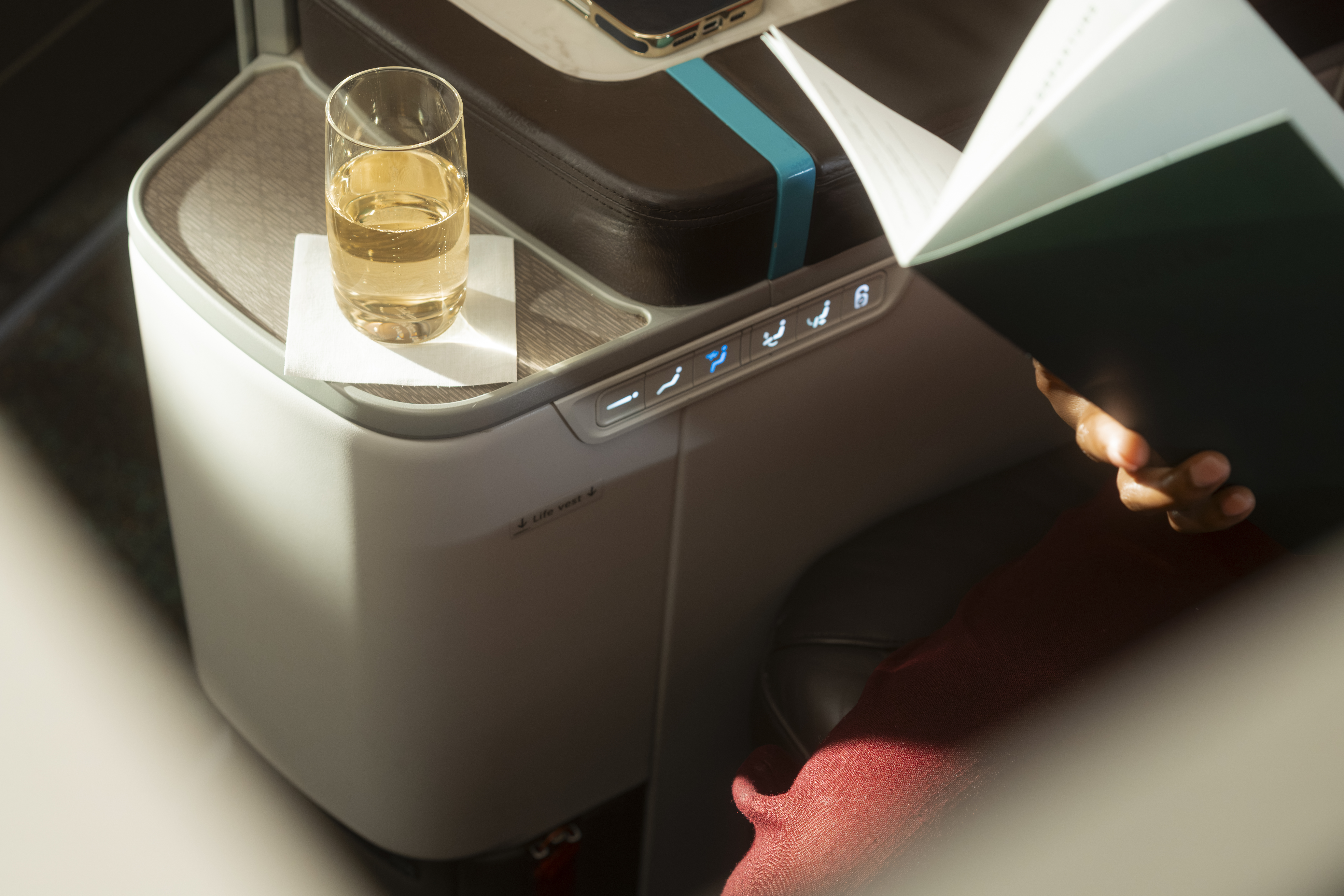 Boeing 787 First Class/Business Class