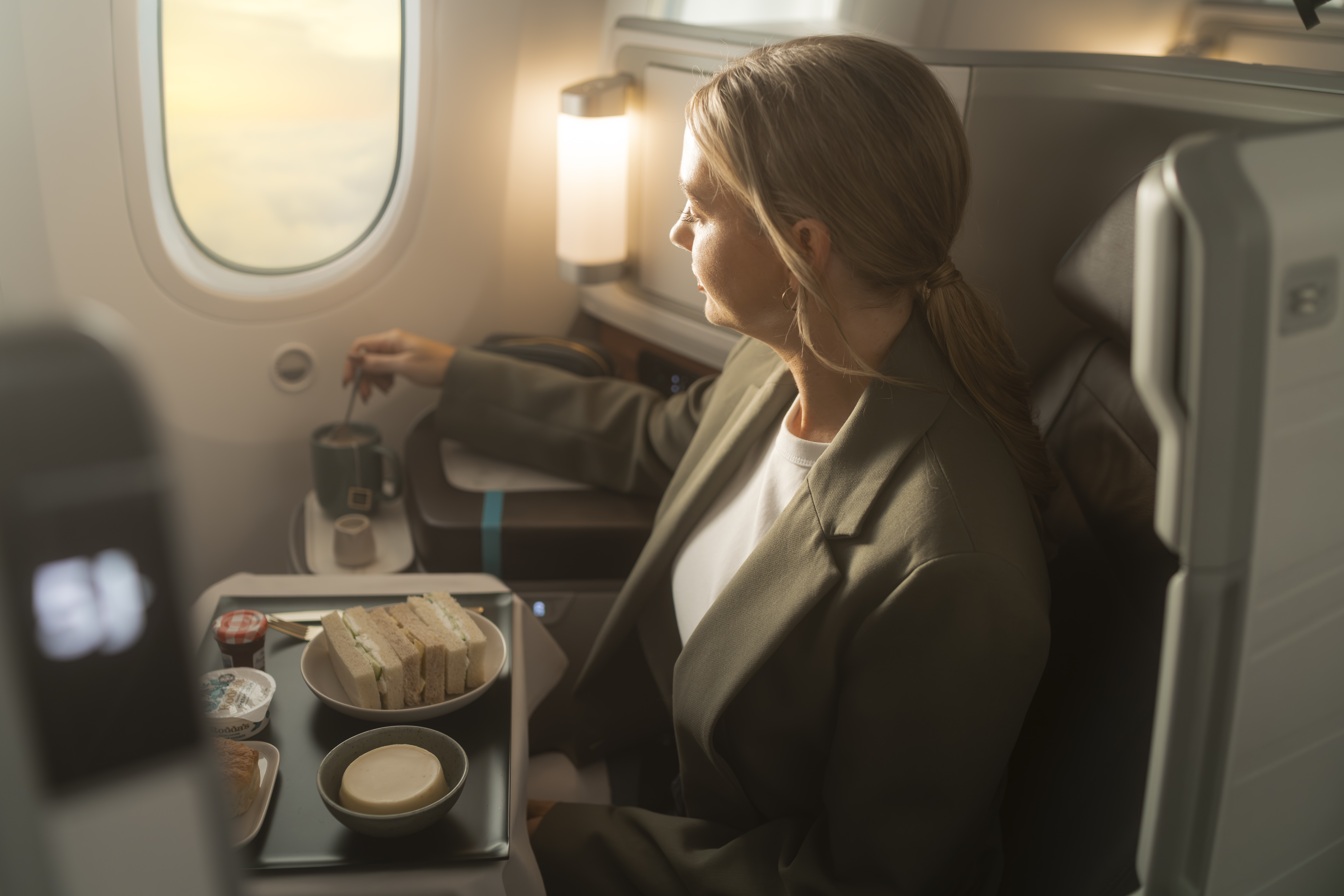 Boeing 787 First Class/Business Class